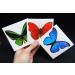 Large Butterfly Temporary Tattoos - Butterfly Utopia (6 Sheets) - Buy Online on GoSupps.com