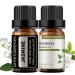 GREENSLEEVES Essential Oil - 10ml (Gardenia + Jasmine)