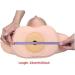 Mannequin Head - Manikin Head - with Shoulders External Carving Acupuncture Points for Acupuncture Point Beauty Practice Model for Beginners Constructive23 - Buy Online on GoSupps.com