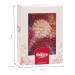 Edible Wafer Flowers for Cake Decoration - Dekozauber24 12 Pieces 6 Colors - Perfect for Cakes & Desserts - Buy Online on GoSupps.com
