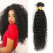 Brazilian Kinky Curly Human Hair Bundle 20 Inch 100% Unprocessed Virgin Curly Bundle Natural Black Color