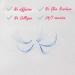 VNE 500 Fans Colorful Lash Extensions | Premade Volume & Mega Volume | 13mm C Curl White 6D - Buy Online on GoSupps.com