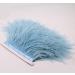 FQTANJU 2 Yards Ostrich Feather Fringe Trim Ribbon for Sewing, Crafts & Clothing DIY - Light Blue - Buy Online on GoSupps.com