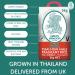 Green Dragon Thai Fragrant Jasmine Rice 5KG - Premium AAA Thai Hom Mali White Rice | Ideal for Chinese and Asian Cooking - Buy Online on GoSupps.com