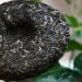 HELLOYOUNG 200g de g teau au th Pu'er chinois biologique au go t moelleux Sans additifs aliment vert avec un ar me original et s duisant Th pu-erh Pu'er Tea - Buy Online on GoSupps.com