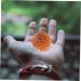 Beaupretty 6-Pack Wooden Massage Globes - Chinese Handball Rolling Hand Massager for Yoga & Fitness - Buy Online on GoSupps.com