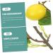 LIFKICH Faux Lemons Decor Realistic Decorative Lemon Branch Decor 2pcs Office Room Supplies Foam Household Wear-resistant Faux Plant Artificial Lemon Branches - Buy Online on GoSupps.com