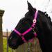Halter for horse warmblood thoroughbred cold blood - stable -halter pasture 2 compartment adjustable to chin straps and neck pieces safe & tearproof (pink shetland pony (shetty)) pink shetland pony (shetty)