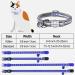 Taglory Reflective Cat Collar 2-Pack - Adjustable Safety Clasp & Bell for Kittens - Dark Blue 15-20cm - Buy Online on GoSupps.com