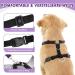 Buy Slowton Dog Harness with Seat Belt for Car - Breathable & Secure with 2 Carabin Hooks | Purple (S) - International Shipping Available - Buy Online on GoSupps.com