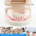 irene inevent Mouth Guard for Grinding Anti-Grind Tool Splint Guards Eliminates Snoring Mouthpiece Protector - Buy Online on GoSupps.com