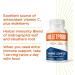 Bulletproof Immunity Bundle: Immune Complex & Glutathione Force - Antioxidants Vitamin C and Elderberry (90 Capsules each) - Buy Online on GoSupps.com