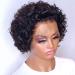 Carleaty Short Curly Pixie Cut Wig | 13x1 Lace Front Human Hair Wig for Black Women | Pre-Plucked | 6 Inch | 1B Color - Buy Online on GoSupps.com