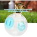 Neel Durable Diameter 18.5cm Small Animal Toys Hamster Exercise Ball Transparent Gerbil Exercise Ball for Pet Playing(blue) - Buy Online on GoSupps.com
