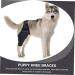 GRIRIW Dog Knee Protectors Dog Supplies Dog Foreleg Brace Dog Foreleg Brace Dog Injured Leg Cover Pet Injury Knee Leg Brace for Dog Step in Dog Harness Dog Knee Cover L As Shown - Buy Online on GoSupps.com
