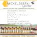 Organic Calendula Skin Salve - Soothing Body Care for Dry Skin & Bug Bites (2 oz) - Buy Online on GoSupps.com