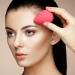 SourceTon Makeup Sponges & 20-Piece Brush Set - Professional Foundation & Eyeshadow Brushes in 4 Colors | International Shipping - Buy Online on GoSupps.com