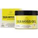 HERBAMAMA Sea Moss Gel 12 oz - Organic Wildcrafted Irish Sea Moss Supplement for Thyroid, Skin, Hair Support - Vegan Dr Sebi Approved - 12 Ounce Organic Raw Gel - Buy Online on GoSupps.com