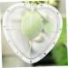 OKUMEYR Heart Shaped Watermelon Molds Gardening Fruit Molds Vegetable Forming Mold Stereotypes Shaper - Buy Online on GoSupps.com