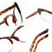 Bevi Blue Light Blocking Reading Glasses - Tortoise Shell 1.5x Magnifying Anti Eye Strain Spring Hinges for Men & Women - International Shipping Available - Buy Online on GoSupps.com