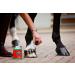 Carr & Day & Martin Tea Tree Hoof Oil 500ml 500 ml (Pack of 1) - Buy Online on GoSupps.com