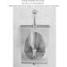 304 Stainless Steel urinals Induction Wall-Mounted Drainage Public Toilet urinals Square Wall-Mounted Men's urinals Bathroom Accessories for Homes Hotels Schools - Buy Online on GoSupps.com