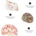 Artibetter Ocean Sea Shell Wedding Ornament 4 Mini Craft Shells Jewelry Aquarium Accessories Homemade Ornaments Conch Jewelry Natural Fish Tank Wedding D cor - Buy Online on GoSupps.com