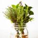 Organic Italian Herbs 125g - 100% Natural Herbal Mixture from Italy | Controlled Organic Cultivation | No Additives - Buy Online on GoSupps.com