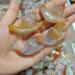 Natural Crystal Rough Natural Quartz Crystal 1pcs Natural Agate Snail Agate playthings Small Stones and Crystals Crystals Home Office Decor - Buy Online on GoSupps.com