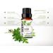 Senselab Thyme Essential Oil - 100% Pure Therapeutic Grade Extract for Outdoor Protection, Hair and Skin Care - 10ml - Buy Online on GoSupps.com