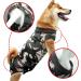 WPCASE DOG Recovery Suit | Surgical Wear for Dogs | E-collar Alternative | Green XS - Ideal for Belly Wounds & Bandages - Buy Online on GoSupps.com