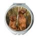 Mirror Travel Mirror Dog Viszla Close Up pocket mirror portable mirror