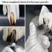 100% Cotton Gloves - 6 Pairs White Moisturizing Gloves for Women | Eczema Relief & SPA Use - Ideal for Jewelry Inspection & Archival Work - One Size Fits All - Buy Online on GoSupps.com