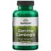 Swanson Garcinia Cambogia 250 mg 120 Veg Caps