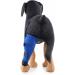 Dog Right Hind Leg Knee Brace Dog Braces for Back Legs Super Supportive for Heals Prevents Injuries Sprains Protects Wounds. C Medium - Buy Online on GoSupps.com
