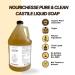 Organic Liquid Castile Soap (1 Gallon) - Citrus Medley - Vegan Body Wash Baby Soap & Hand Soap with Organic Oils - Natural & Eco-Friendly - Buy Online on GoSupps.com