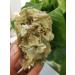 300g-400g Natural Crystal Gem Crystal s - Buy Online on GoSupps.com