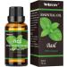 Basil Essential Oil - 100% Natural Aromatherapy Oil for Diffusers Humidifiers Massage Skin & Hair Care | 1.01 fl oz - Buy Online on GoSupps.com