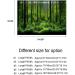 Aquarium Background Decoration PVC Adhesive Underwater Forest Tank Background Poster Double Sides Backdrop Decoration Paper for Aquarium(76 46cm) - Buy Online on GoSupps.com
