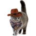 Custom Cowboy Hat & Bandana Set for Dogs & Cats | Perfect Pet Costume & Party Accessories - Buy Online on GoSupps.com