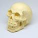Chocolate Skull Gift - Halloween - Birthday - Wedding Cake Topper (white)