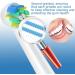 Wardimark Compatible Brushes for Brown Oral B Electric Toothbrush - 16 Zibut Brush Heads - 4 Types Precision Replacement - Buy Online on GoSupps.com