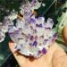 Room Decoration Natural Crystal Cluster Amethyst Specimen Purple Quartz Rough Crystals for Home