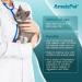 AmeizPet Calming Cat Treats - Healthy 65g (2.3oz) for Stress Relief | Buy Now for Happy Cats - Buy Online on GoSupps.com