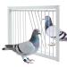 Junniu Pigeon Entrance Door Iron Wire Bird Cage Door One Way Trap Bird Breeding Supplies Pigeon Racing Supply for Birdcages 11.8in (30cm)