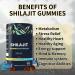100% Shilajit Gummy Platinum-Shilajit Gummies Pure Himalayan Platinum Shilajit 3000mg Gummies for Men Trace Minerals for Men&Women | Non-GMO | Travel Friendly | 60 Gummy 60 Count - Buy Online on GoSupps.com