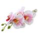Women Fashion Orchid Flower Hair Clips for Wedding Bridal Hawaii Party Hair Accessories (White)