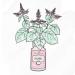 Buy Young Living Patchouli Essential Oil 5 ml | Uplift Mind & Spirit | Natural Aroma for Tranquility | International Shipping - Buy Online on GoSupps.com