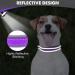 Joytale Softly Padded Neoprene Dog Collar for Small Dogs | Reflective Nylon Wide Collar in Purple - 1 Pack - Buy Online on GoSupps.com