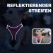 Haapaw Adjustable Dog Harness & Leash Set - No Pull Reflective Padded Vest for Extra Small to Medium Dogs - Pink Size L (Breast 45.7-50.8 cm) - Buy Online on GoSupps.com